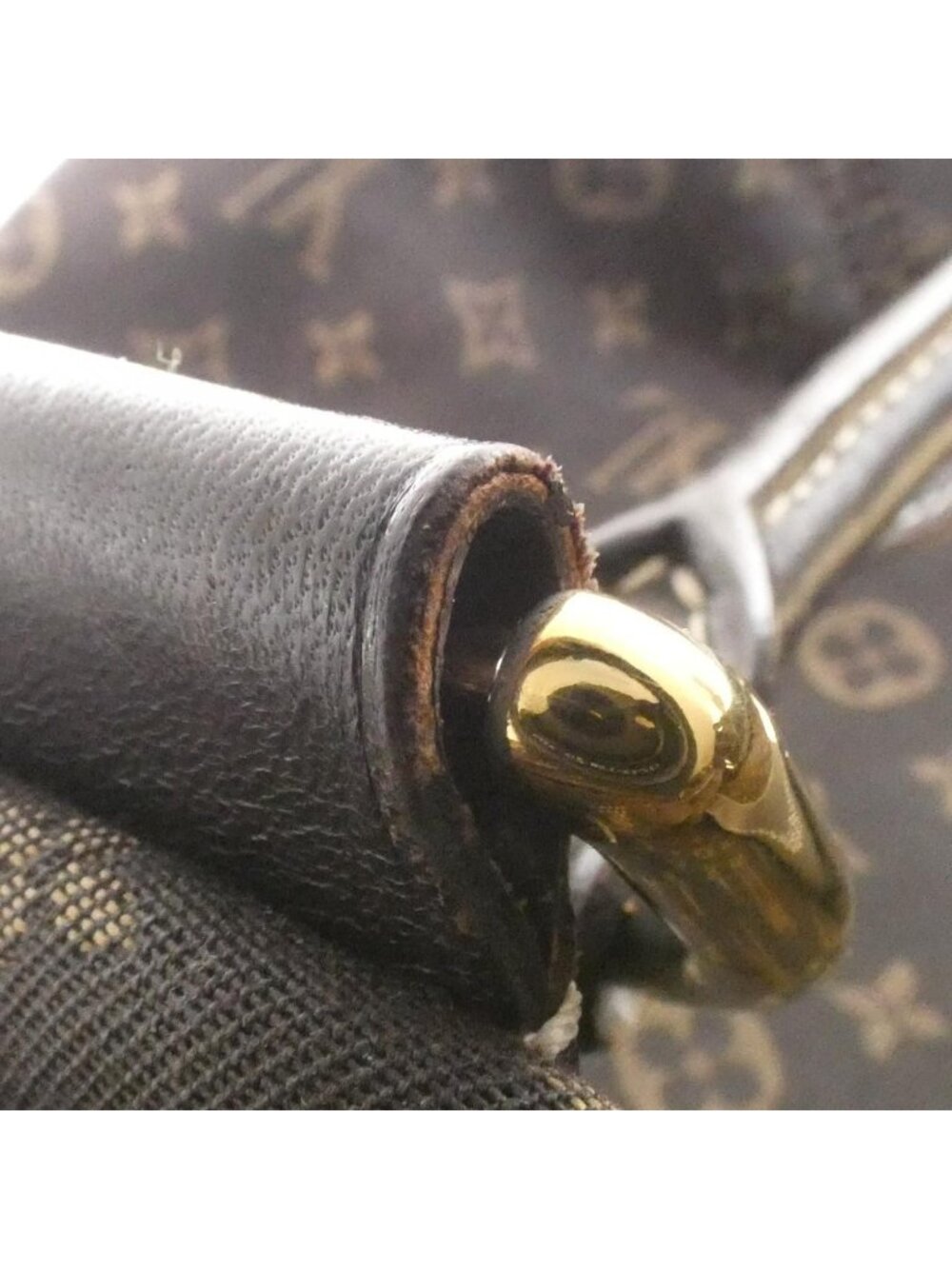 Louis Vuitton Monogram Idyle Elegy Shoulder Bag - Picture 7 of 10